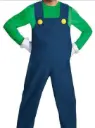 LUIGI
